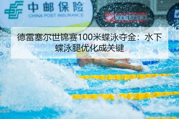 de-lei-sai-er-shi-jin-sai-mi-die-yong-duo-jin-shui-xia-die-yong-tui-you-hua-cheng-guan-jian-3-990.jpg
